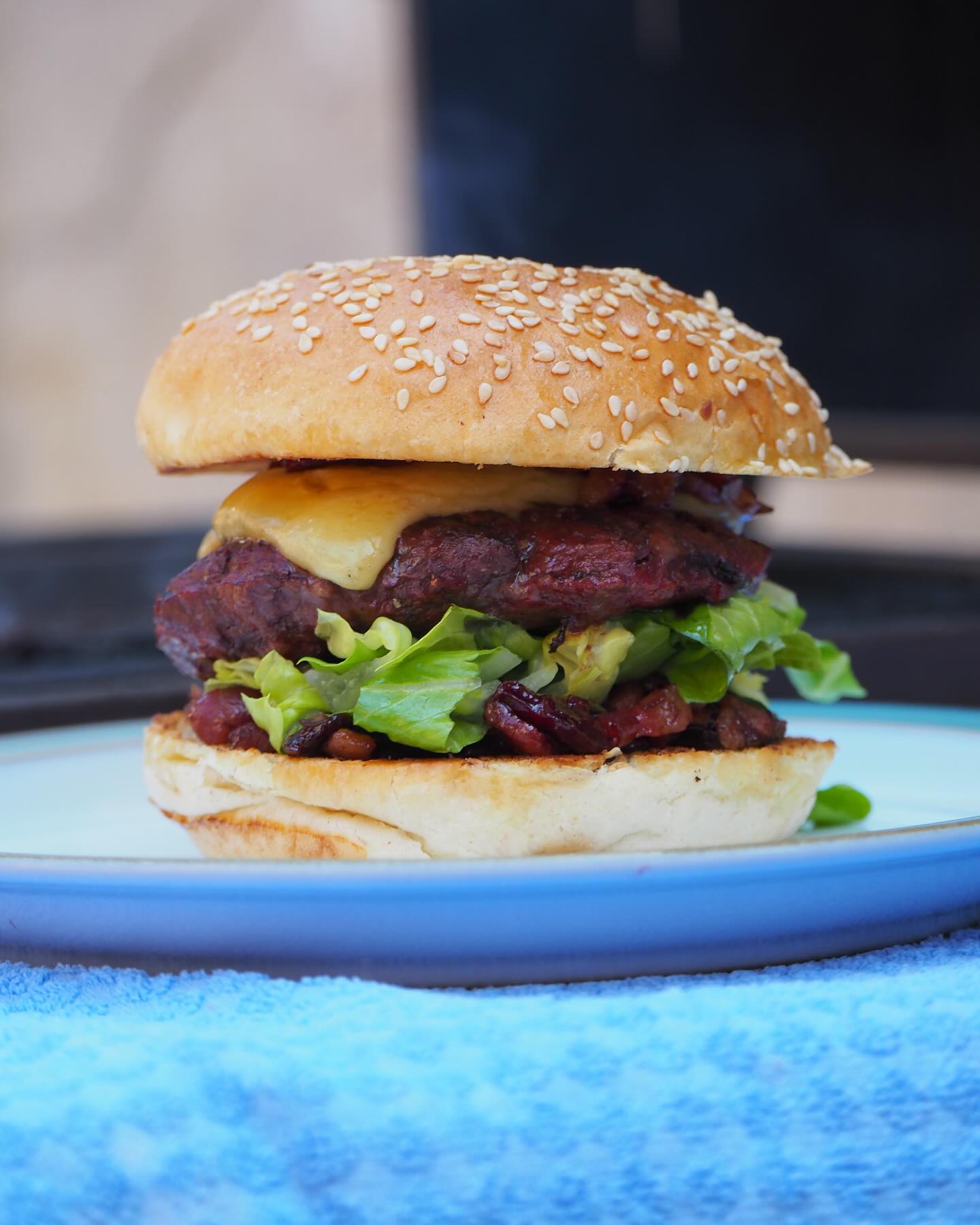 Venison Burger - 2 per pack